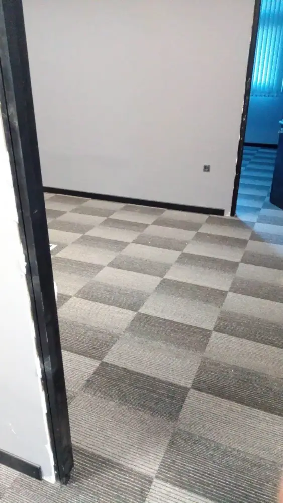 Ofis girişində karo halı — xalça plitəsi döşəməsi